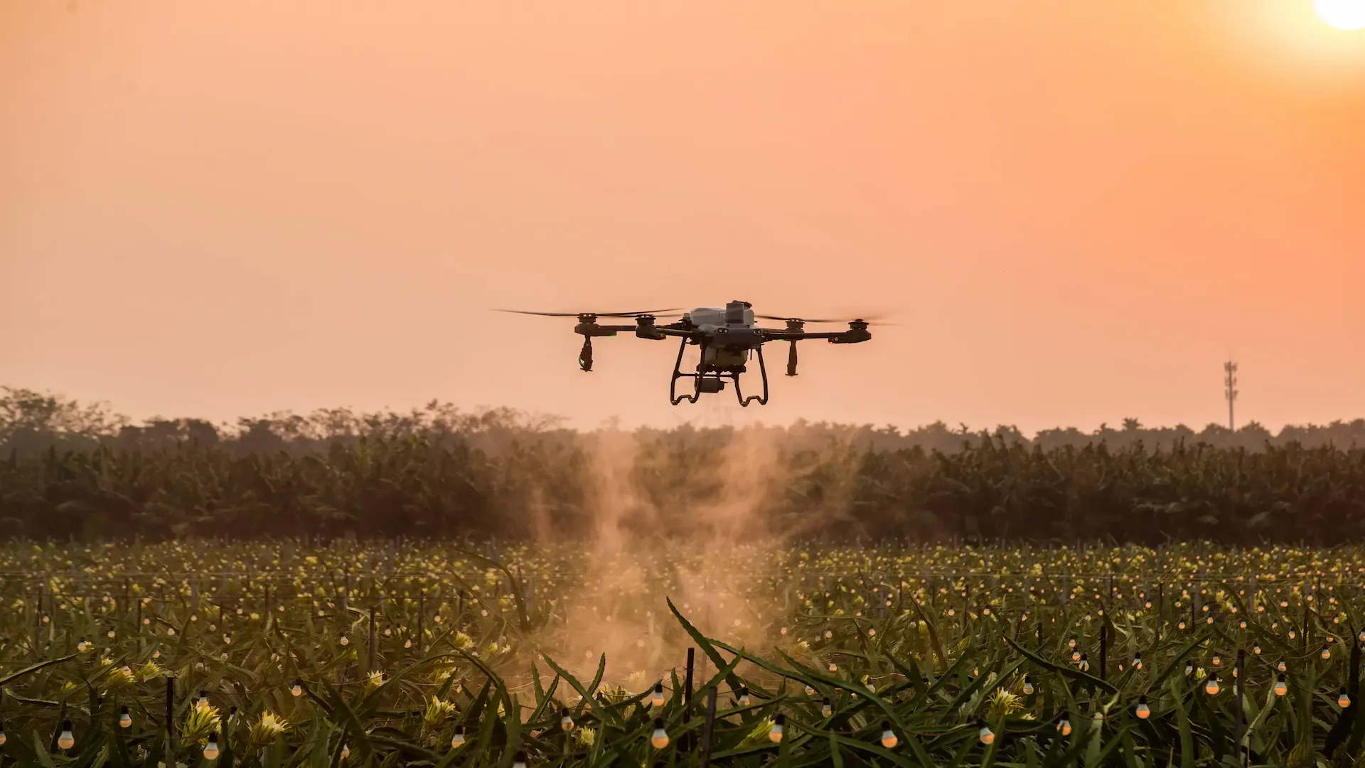 Agricultural drone spraying crops in South East Queensland
